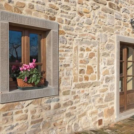 Villa Liz Tuscany, Private Pool, Hot Tub, Property Fenced, Pets Allowed Poppi Exterior photo