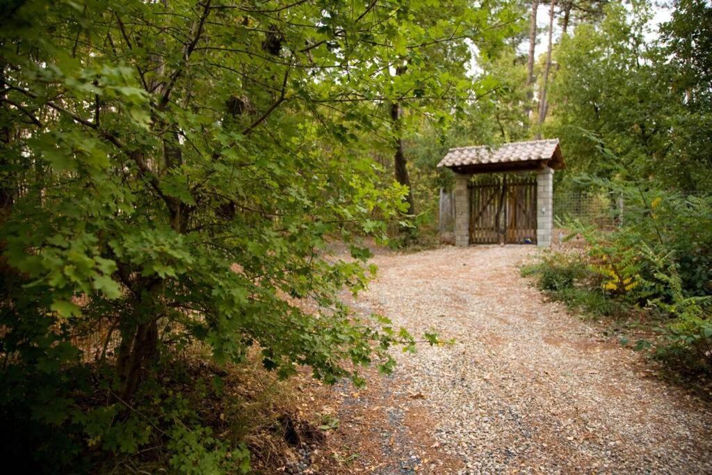 Villa Liz Tuscany, Private Pool, Hot Tub, Property Fenced, Pets Allowed Poppi Exterior photo
