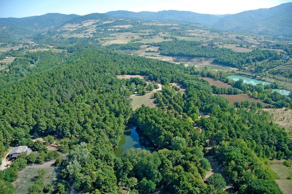 Villa Liz Tuscany, Private Pool, Hot Tub, Property Fenced, Pets Allowed Poppi Exterior photo